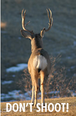 frontal deer shot