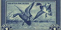 Waterfowl Stamps