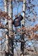 Top Ten Reasons YOU Should Be Hanging Your Treestands NOW