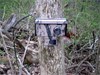 High School Student uses Trail Cameras for Science Project - Find out what He Learned about Baiting