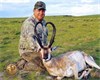 New World Record Pronghorn Shatters Old