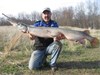 NEW Illinois Bowfishing Record - Longnose Gar