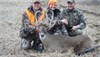 Missouri Deer Hunters Take 5 Antlered Does in November