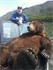 Long Standing Grizzly World Record Shattered